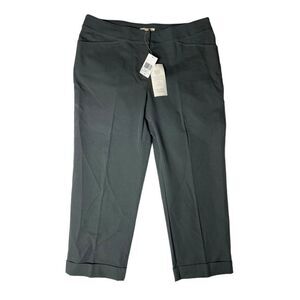 Eileen Fisher Slim Crop Cuffed Pants in Bark Size Small NWT